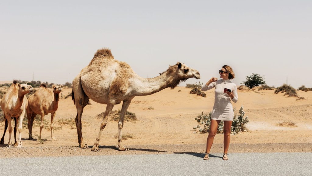desert safari ras al khaimah