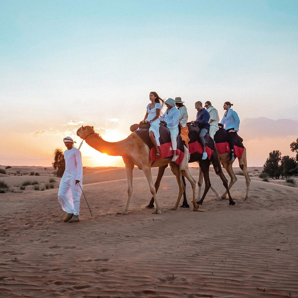 Camel Ride Tour Ras Al Khaimah
