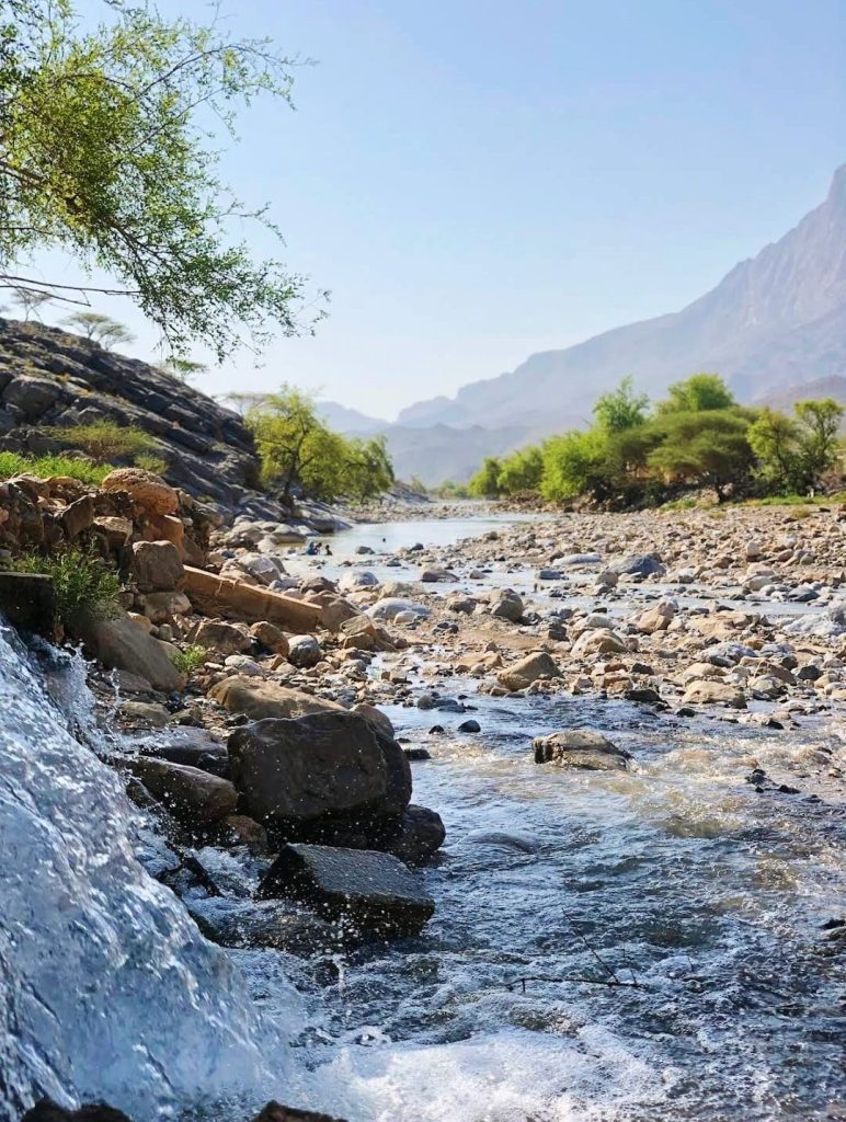 muscat oman city tour from fujairah