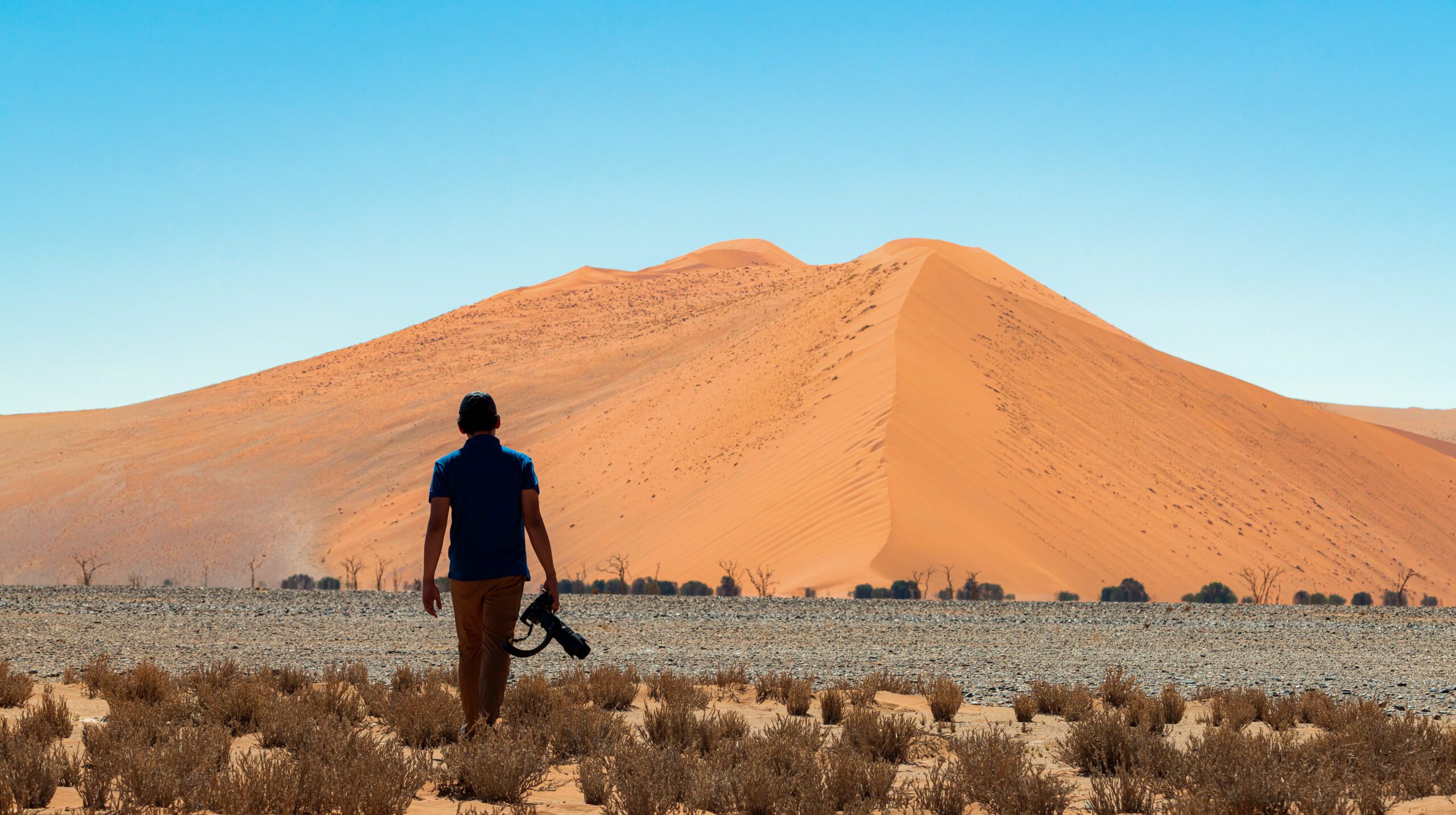 Beautiful landscape of orange sand dune orange sand at Namib desert in Namib-Naukluft national park Sossusvlei in Namibia.