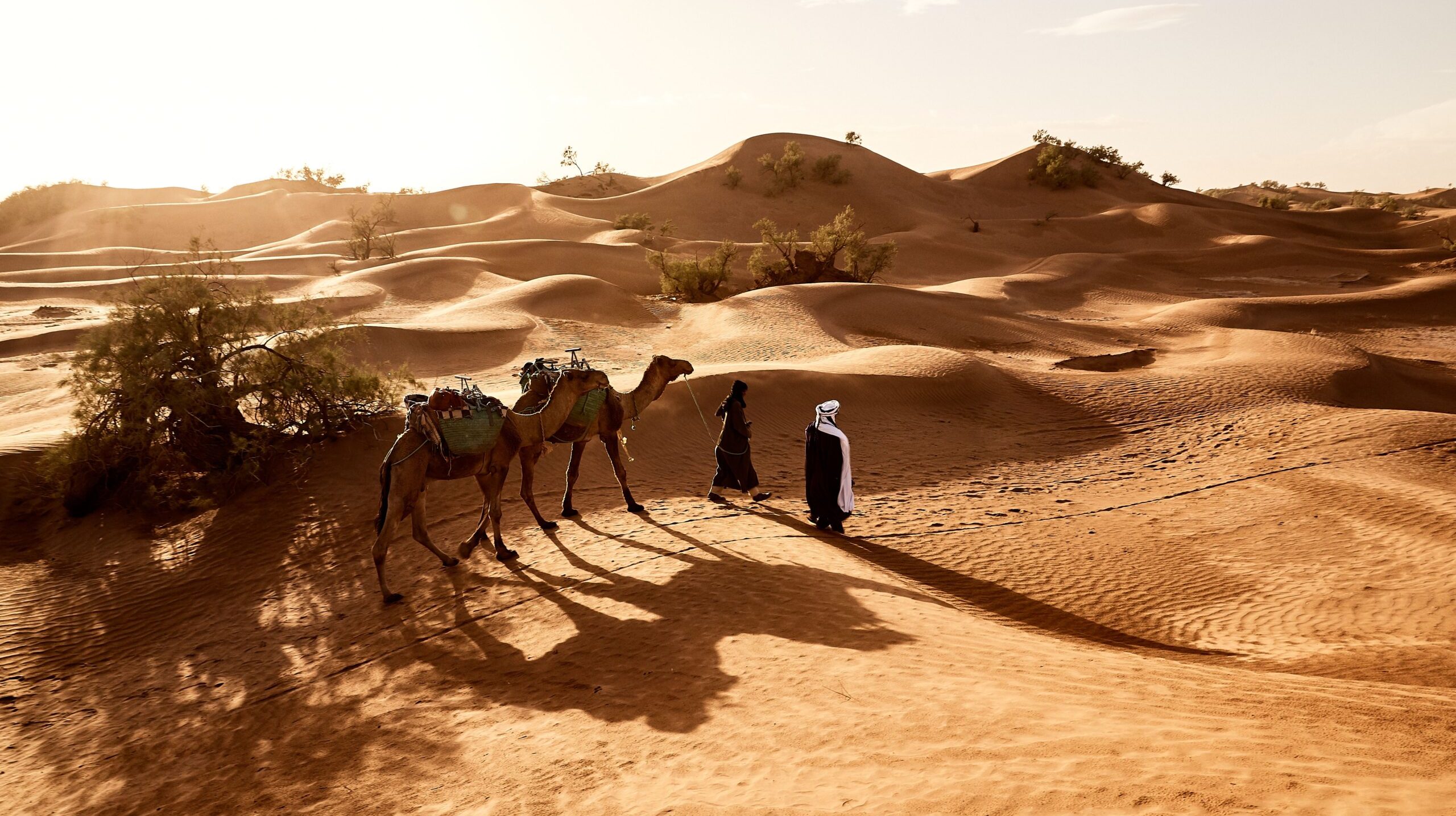 A beautiful shot of people walking with their camels in the desert of Erg Lihoudi in Morocco