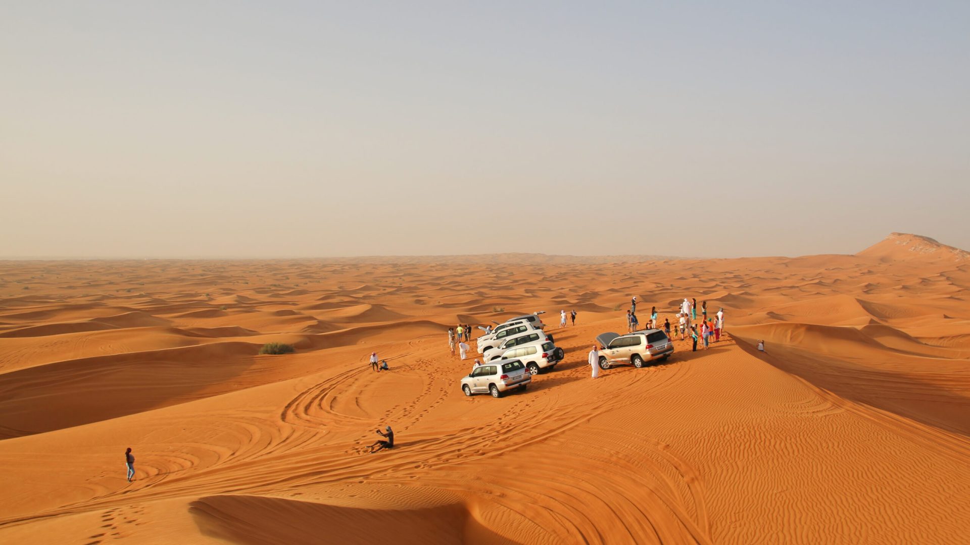 cars in desert near Dubai, United Arab Emirates