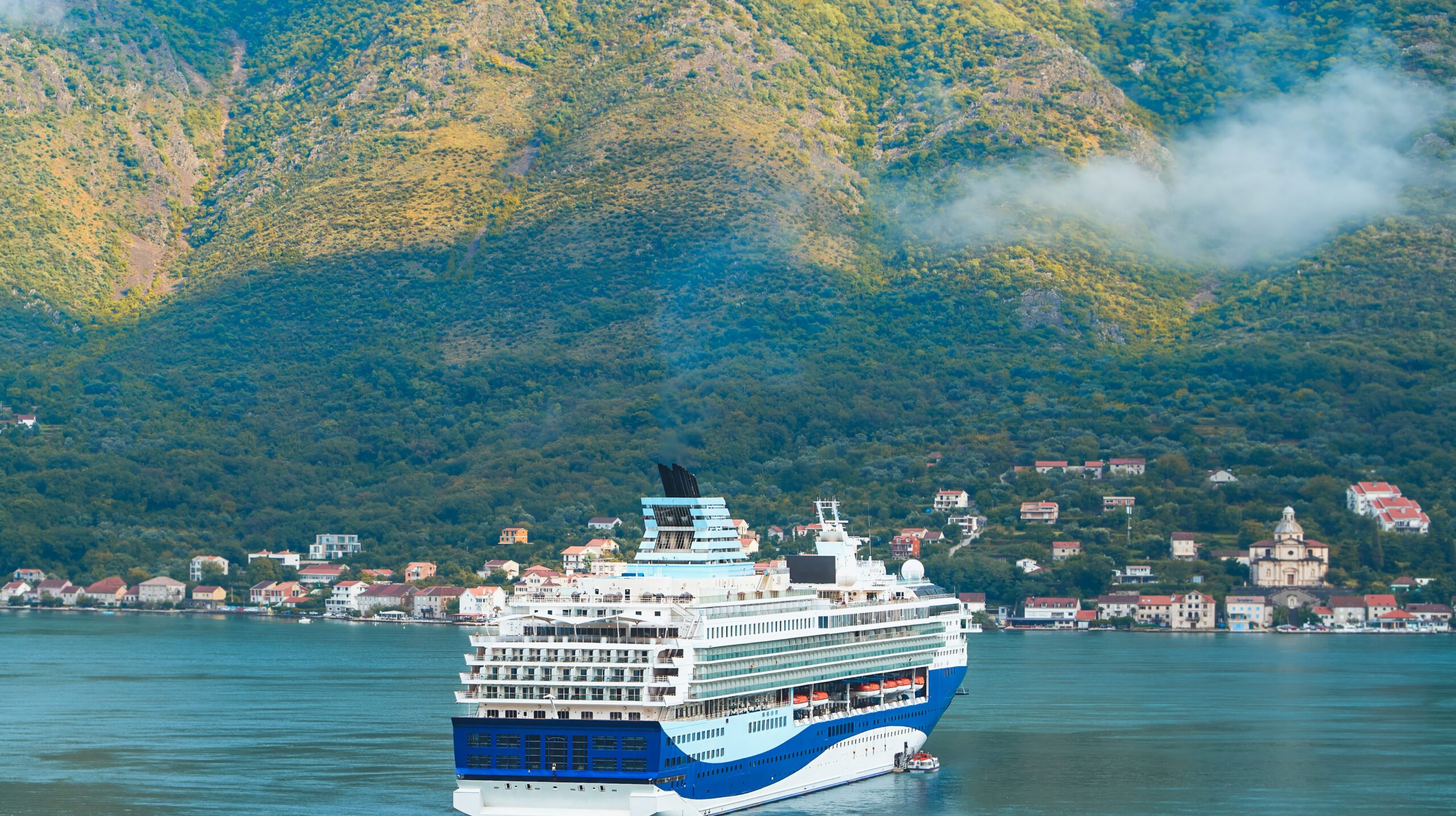 Cruise ship passing misty mountain coastline