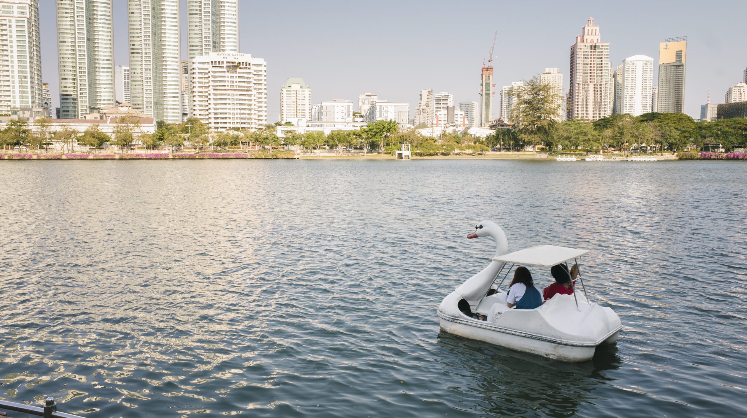 duck boat in pond bangkok