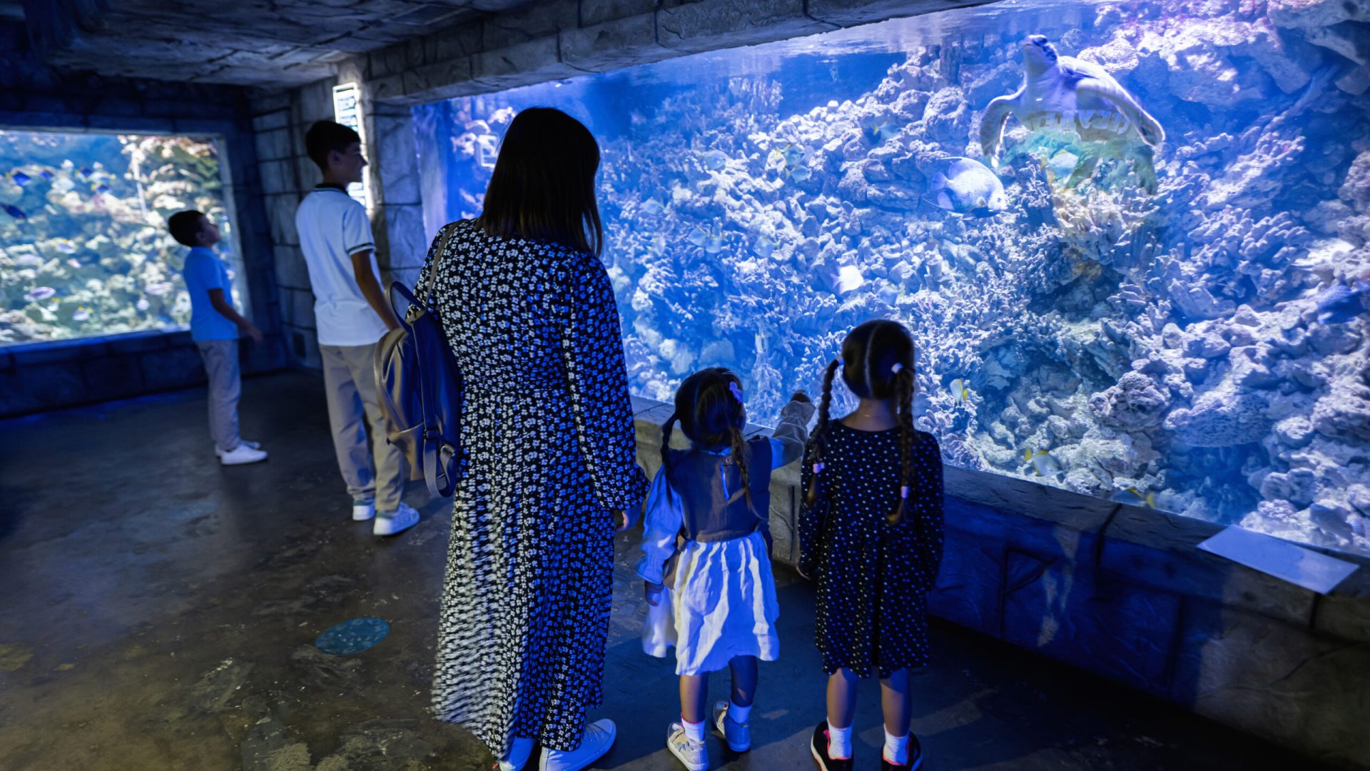 Family looking at fishes and turtle in oceanarium. Mother with children enjoying in ocean exhibit tank.