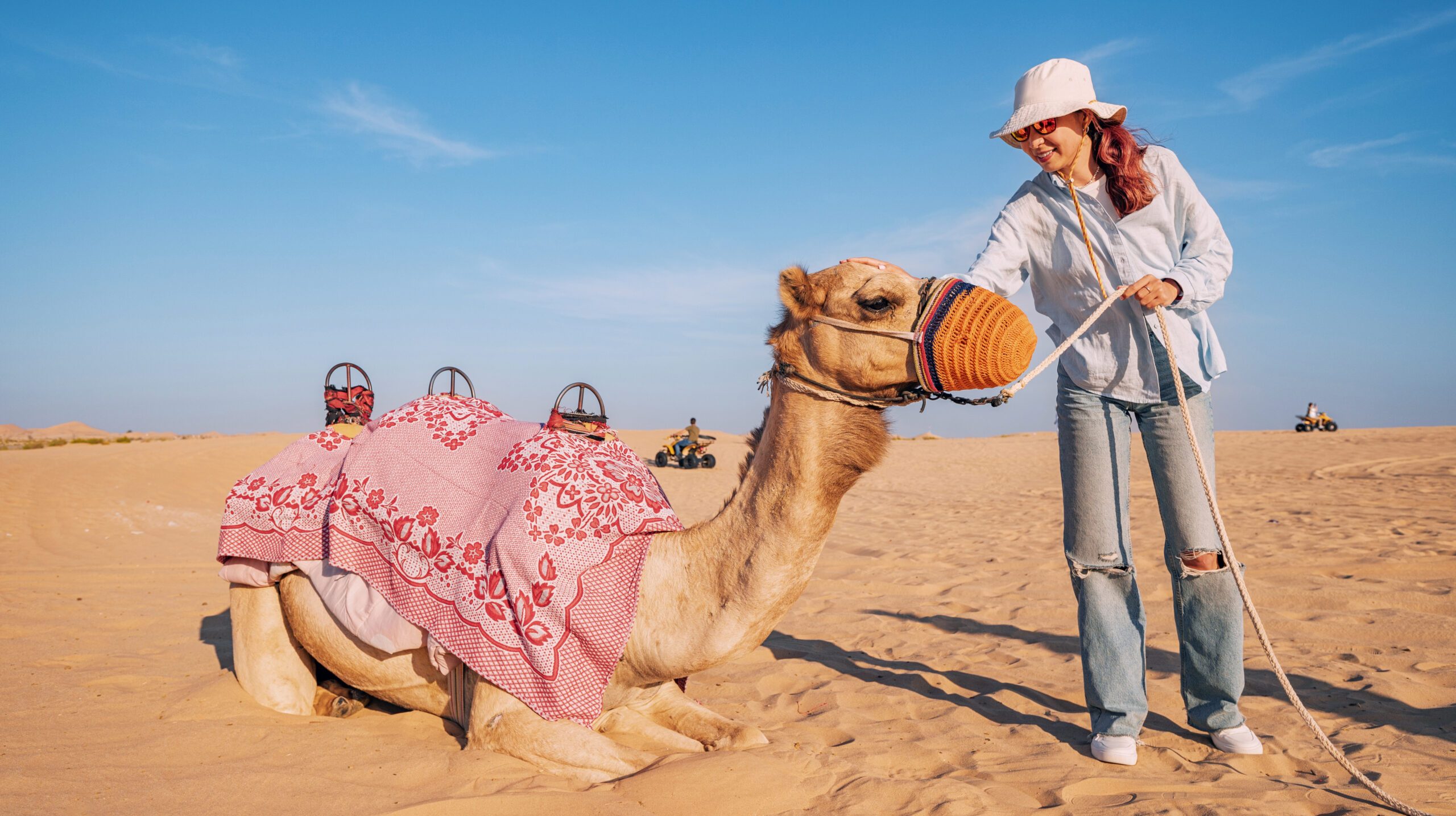 Female tourist petting a saddled camel in a desert landscape, United Arab Emirates