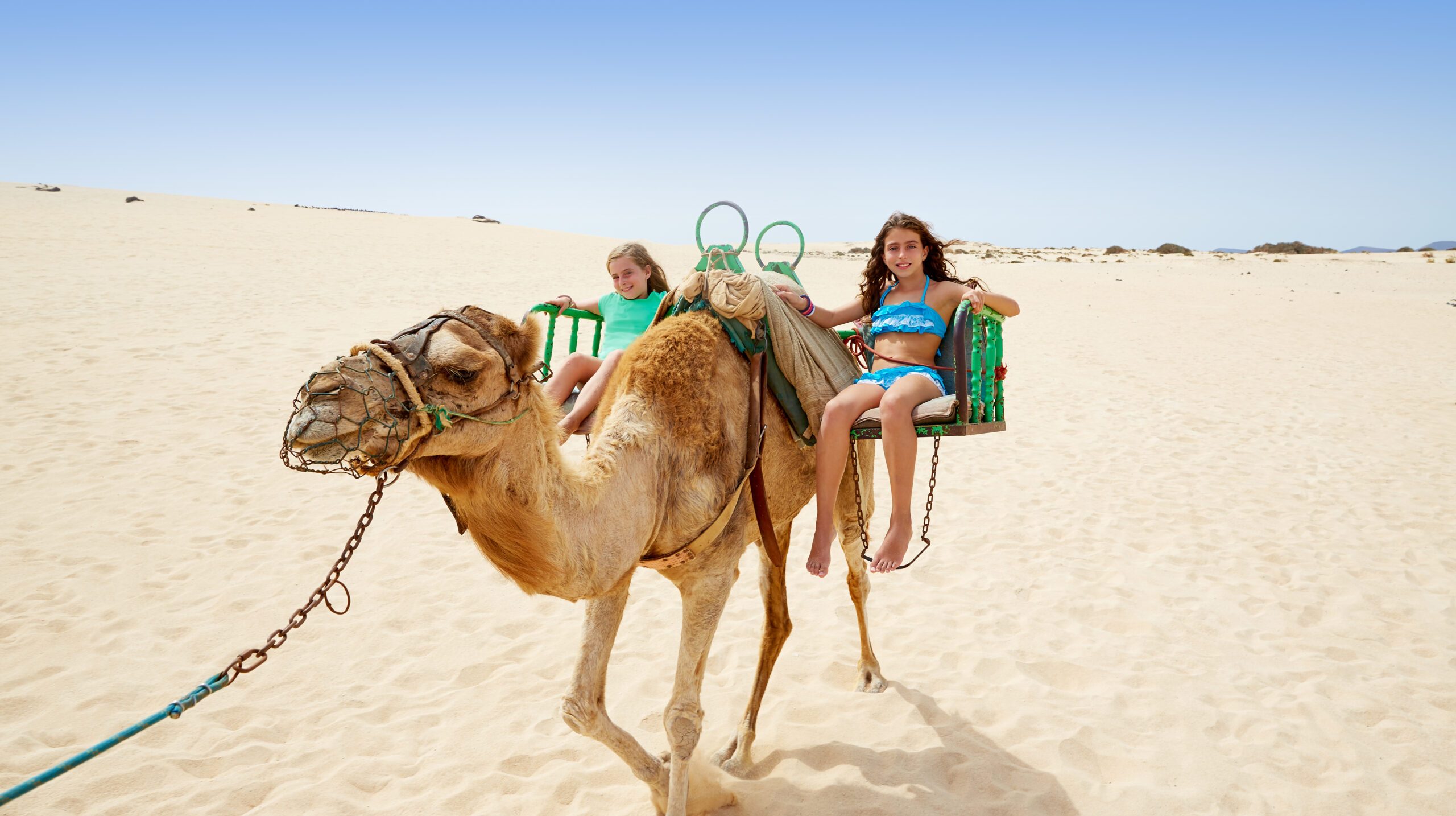 Girls riding Camel in Fuerteventura desert at Canary Islands of Spain