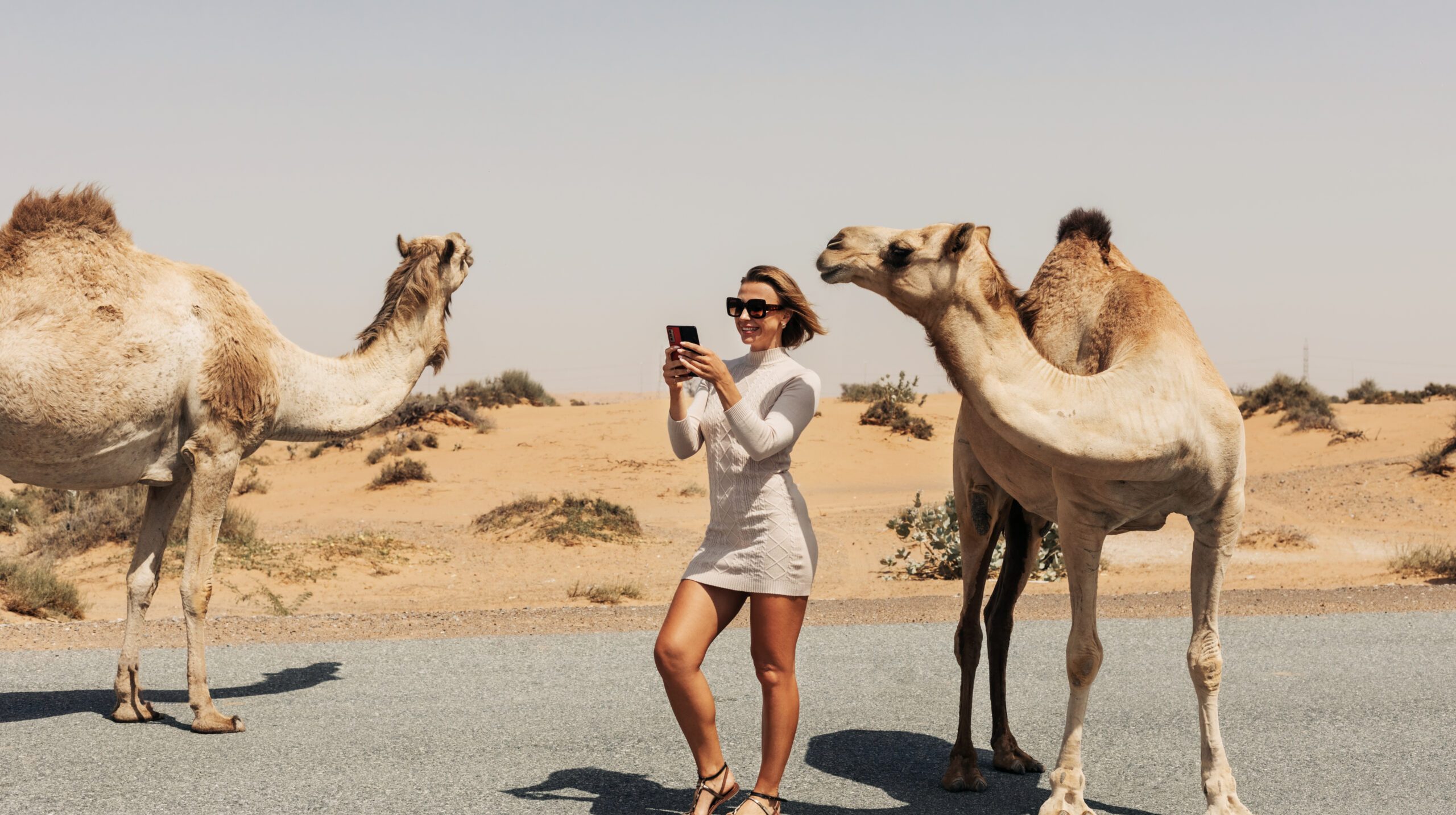 A happy beautiful girl, smiling, takes a selfie with a camel by the road during a trip to the desert, Dubai, UAE.