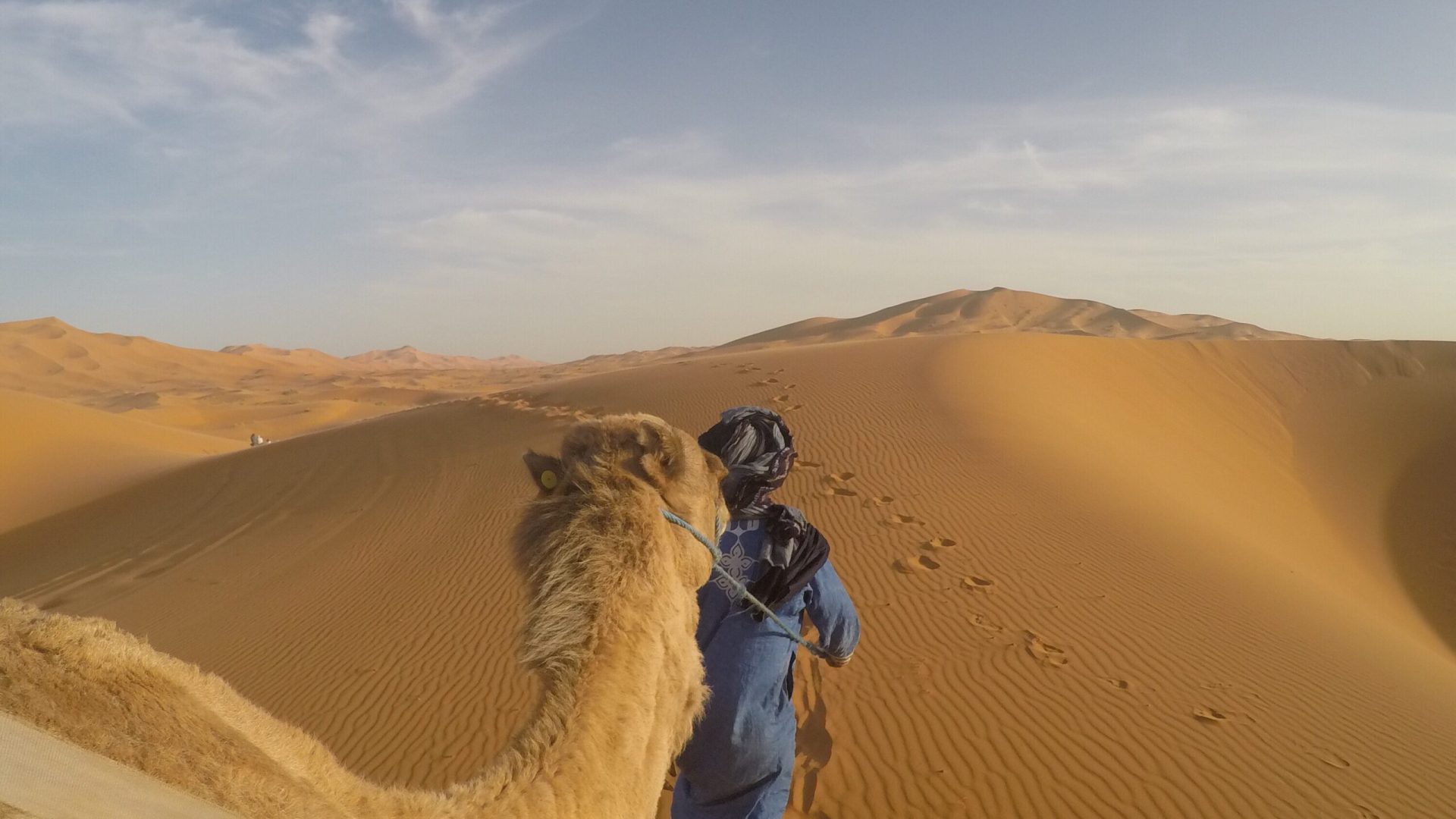 man-leading-camel-desert