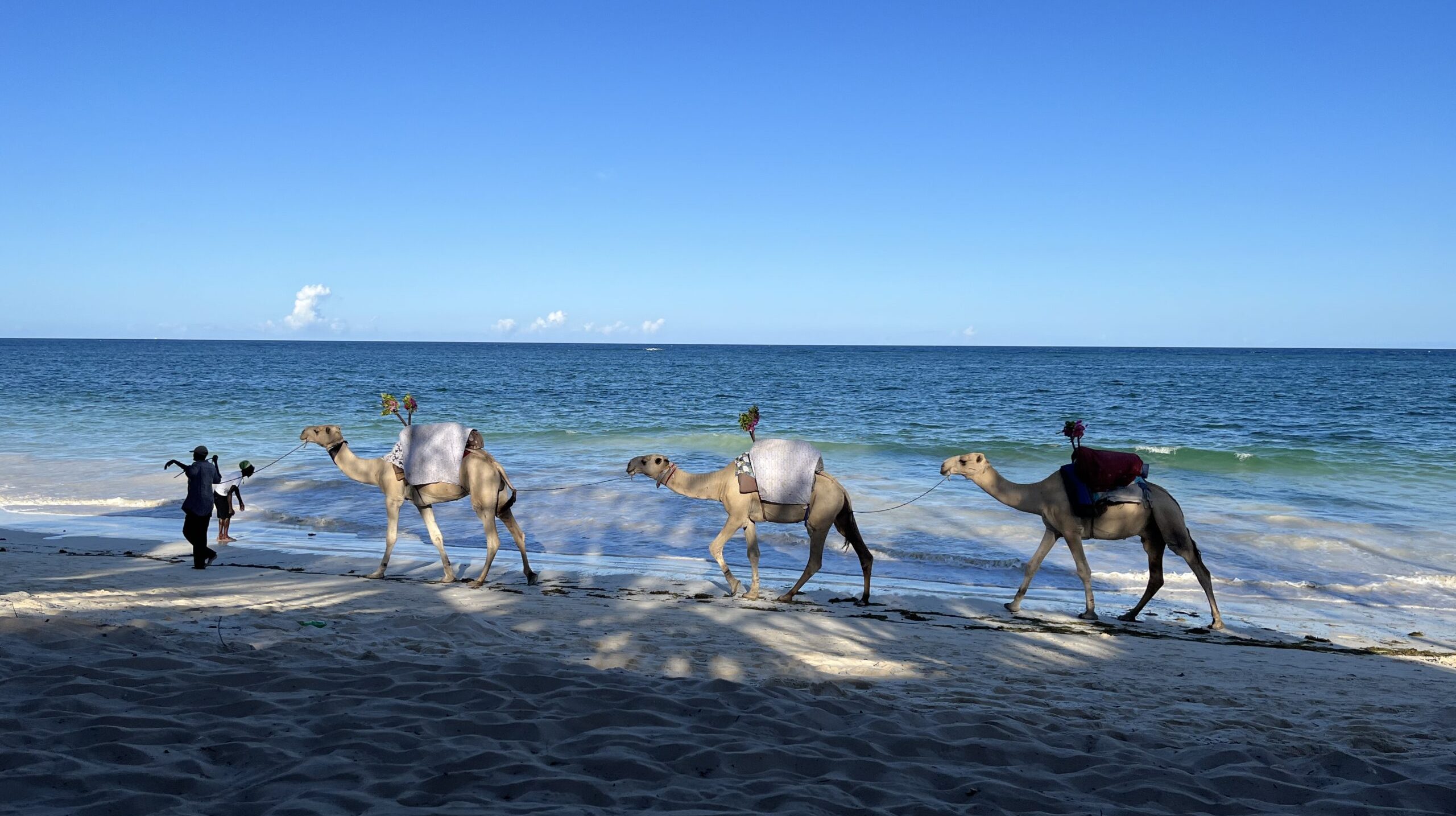 people-beach-against-clear-blue-sky