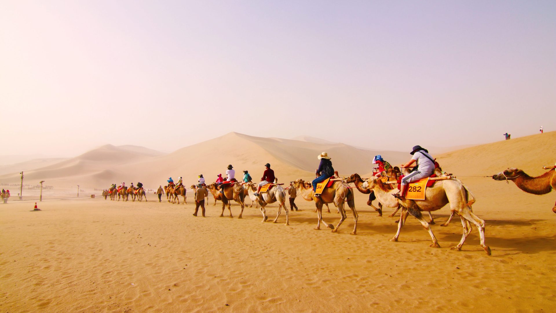 people-riding-horses-desert-against-sky