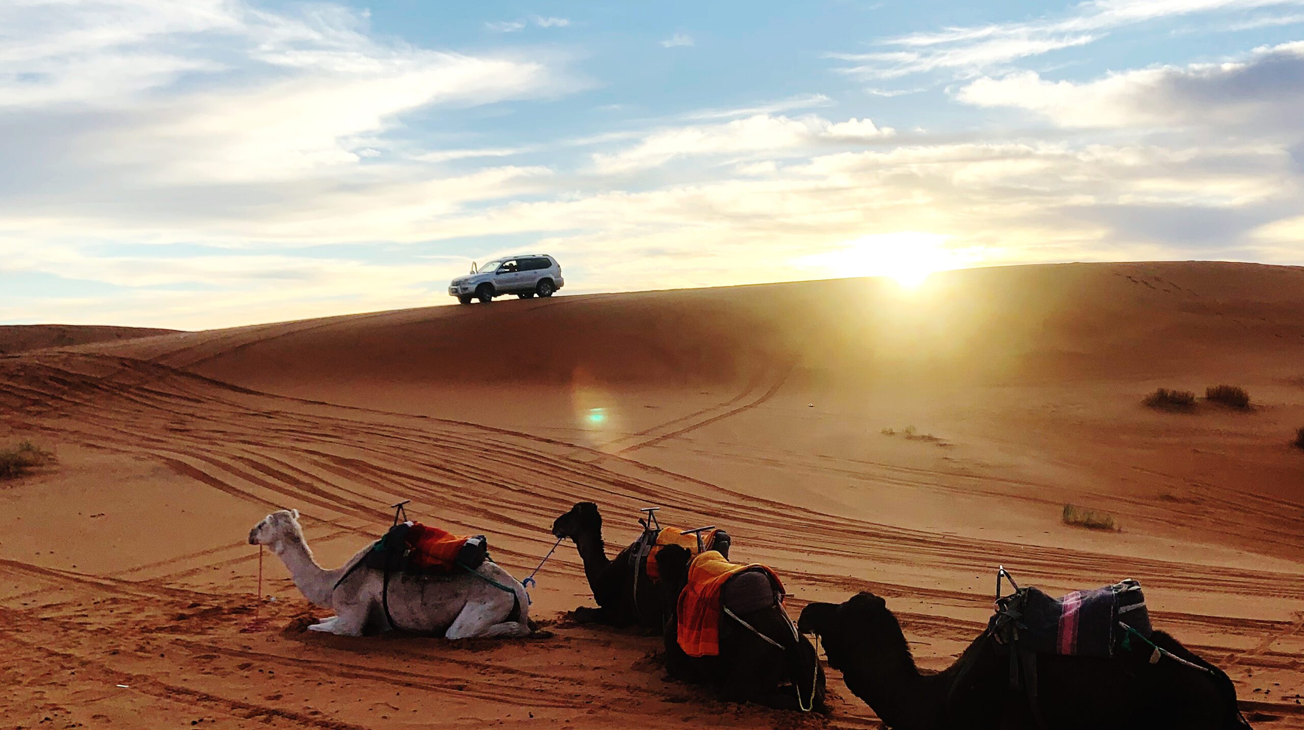 people-sitting-desert-against-sky-sunset