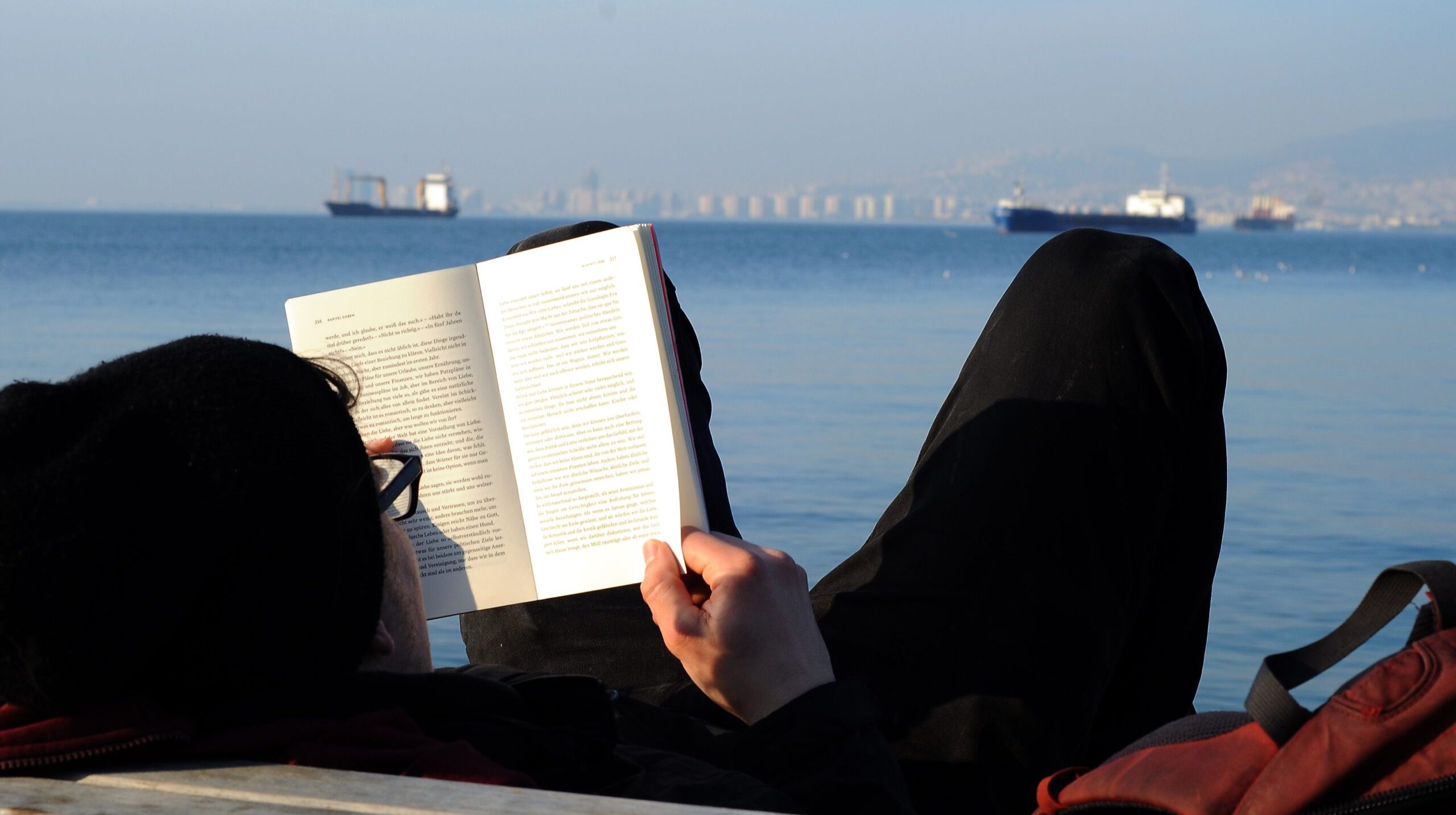 rear-view-man-reading-book-by-sea