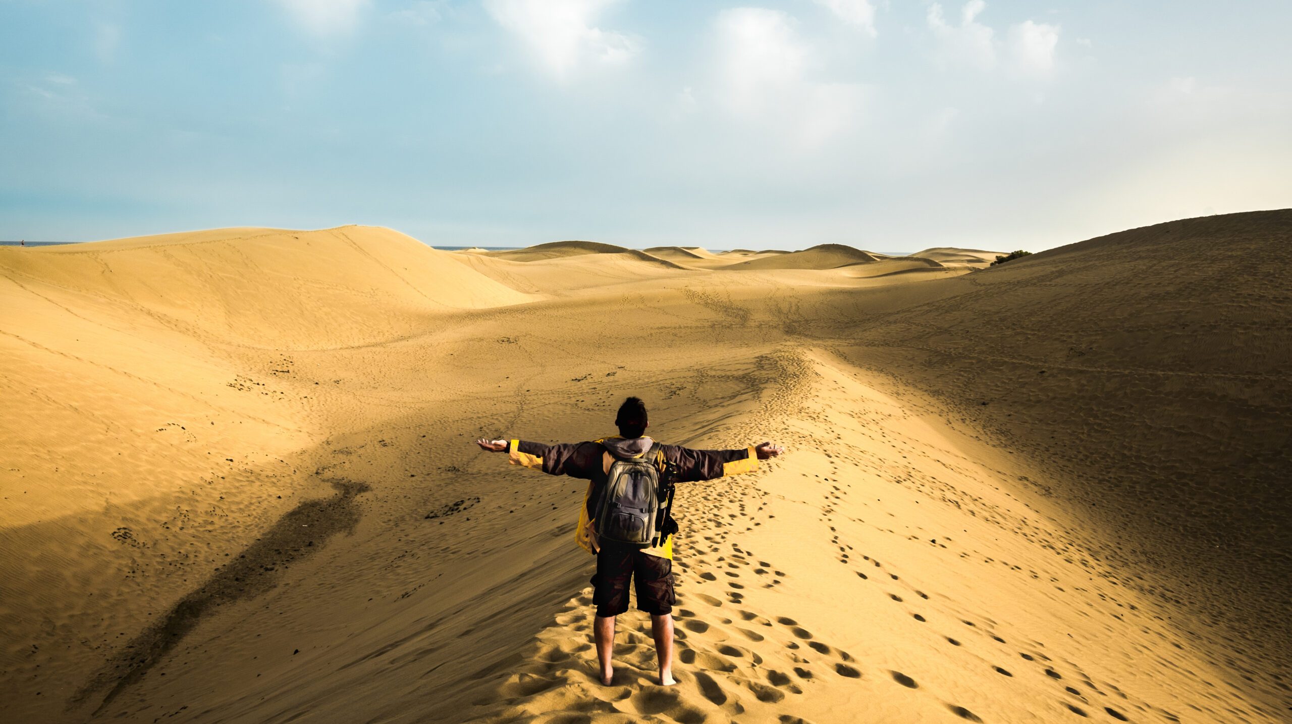 Standing man back view open arms and enjoy with wild beautiful desert in front - lifestyle and adventure trekking backpack travel vacation people concept - alternative summer holiday trip for people