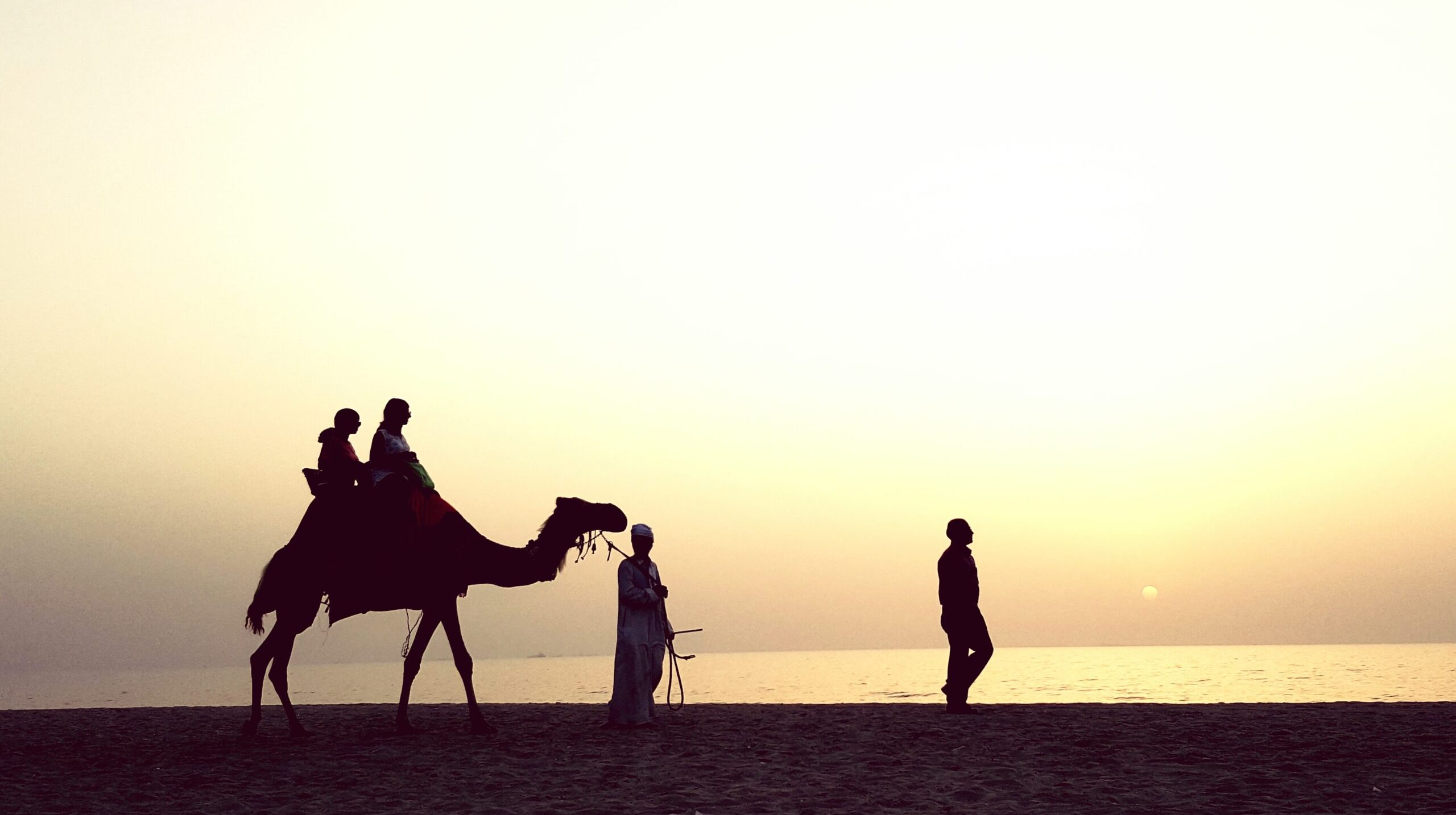 silhouette-friends-beach-against-clear-sky-sunset
