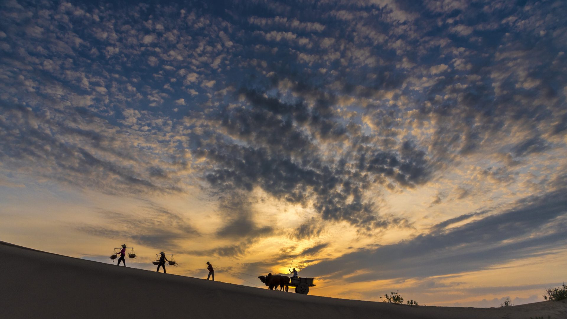 silhouette-people-animal-land-against-sky-sunset