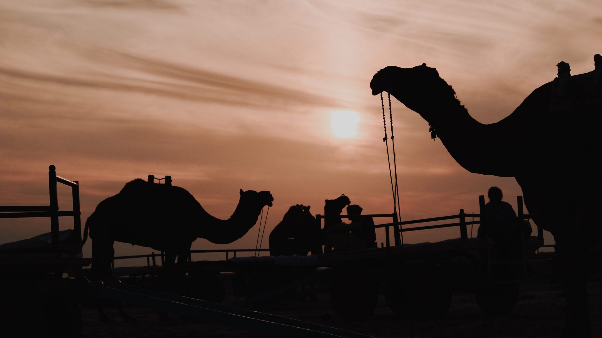 silhouette-people-standing-land-against-sunset-sky
