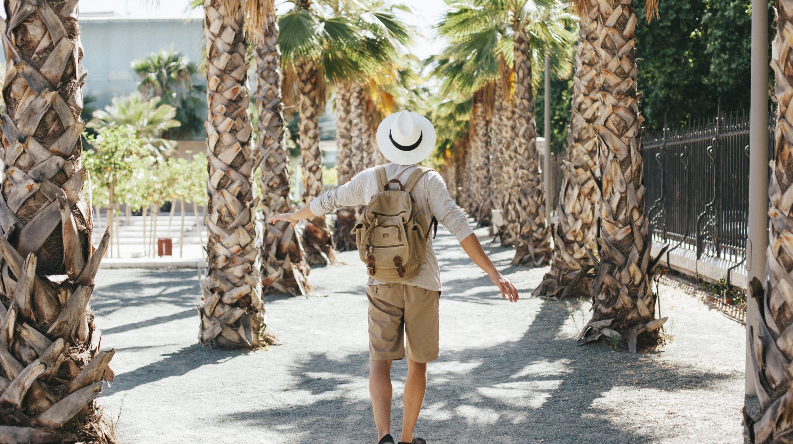 traveler-walking-through-palm-trees