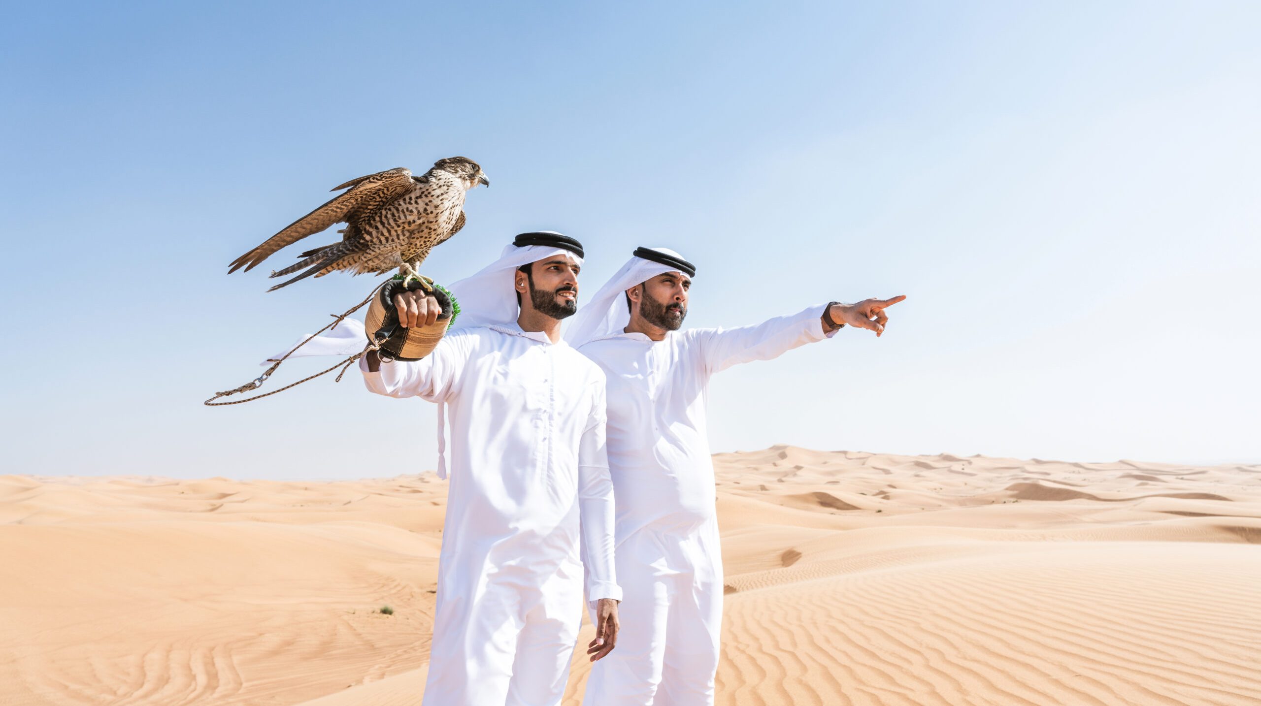 Two middle-eastern men wearing traditional emirati arab kandura bonding in the desert and holding a falcon bird - Arabian muslim friends meeting at the sand dunes in Dubai