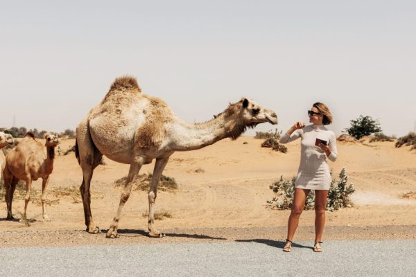 woman-standing-by-camel-scaled-rh3n6yhfmcp51qwb6g5ppsdzkxqoze8v5quev9sapc