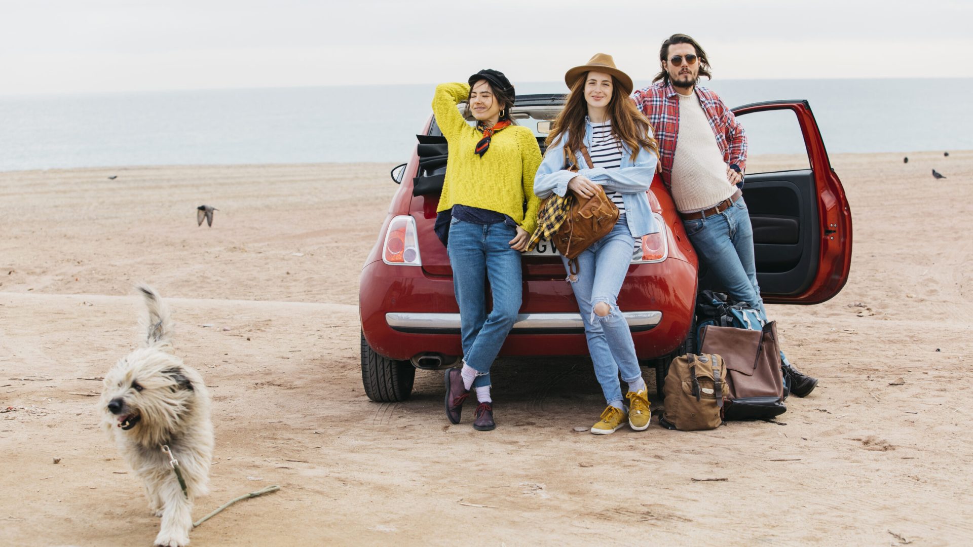 women-man-near-car-dog-running-beach